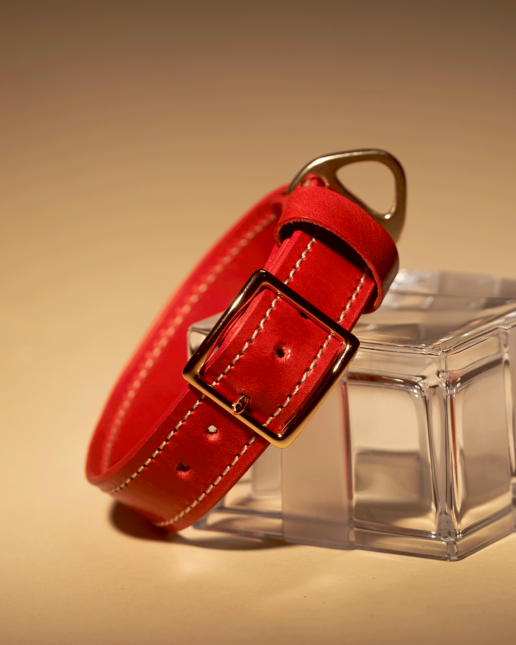 "On The Run" dog collar