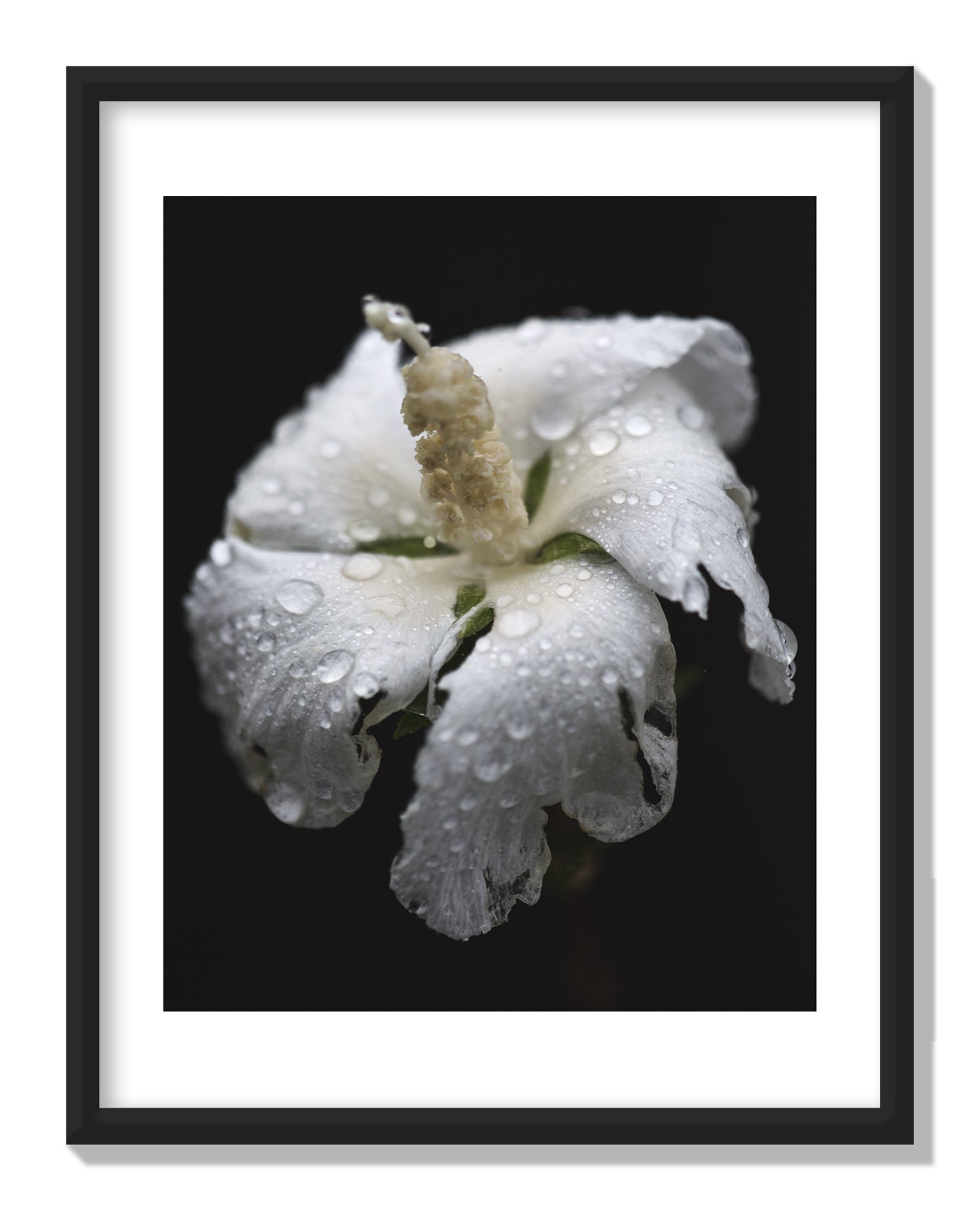 Dew